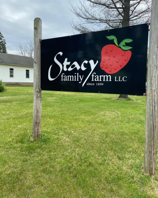Stacy Farm