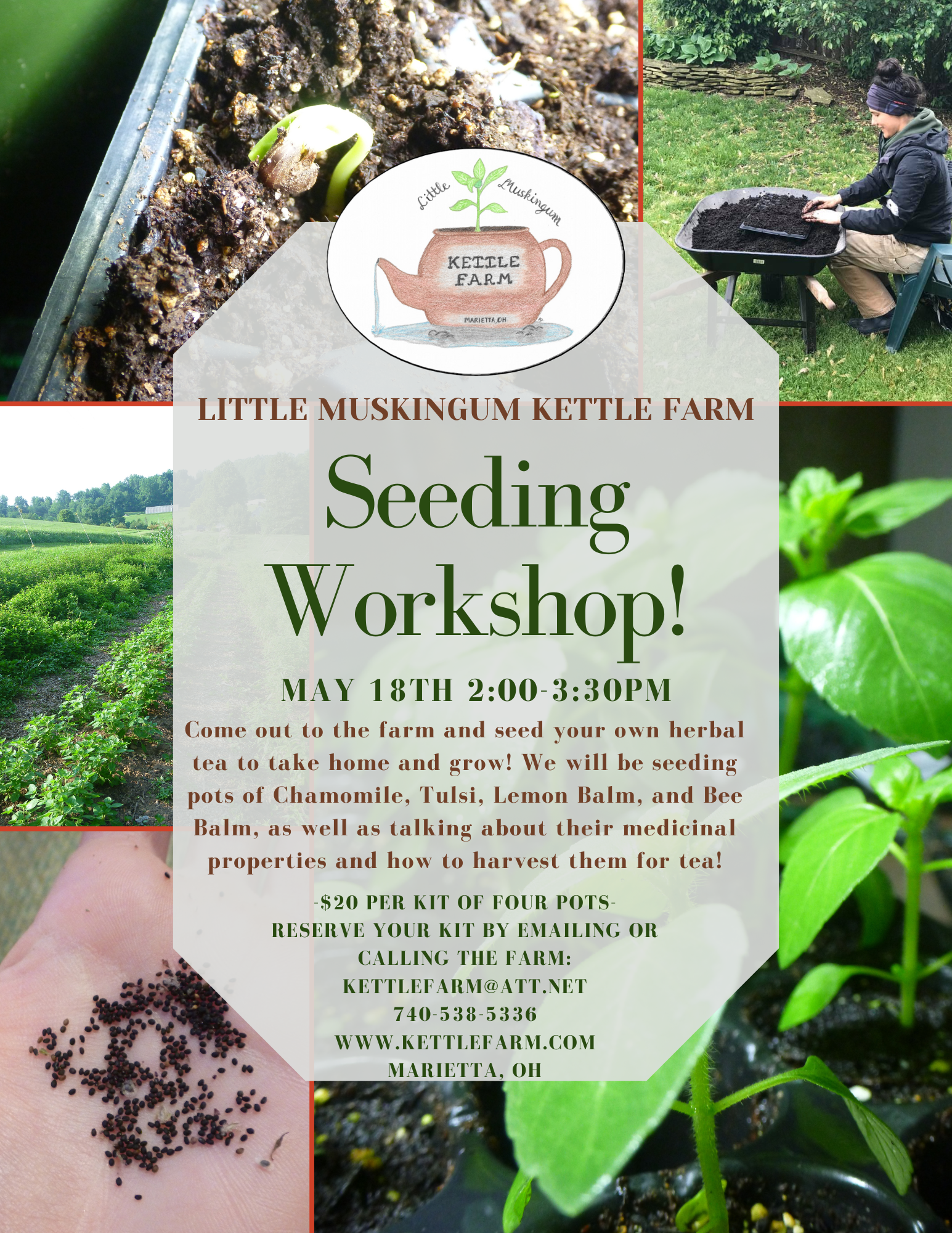 Herbal Tea Seeding Workshop