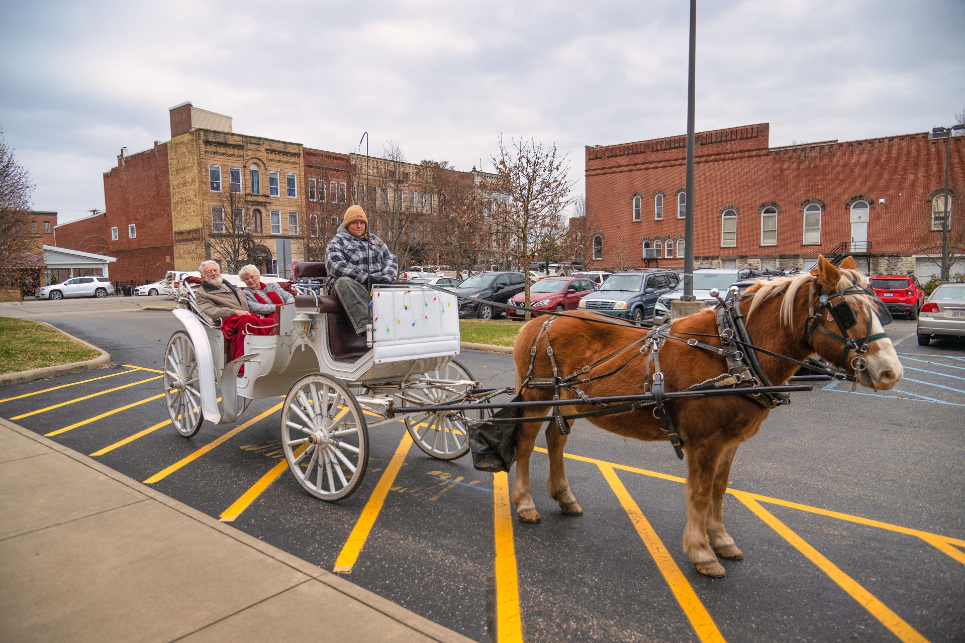 Free Horse and Carriage Rides at Marietta Visitor Bureau