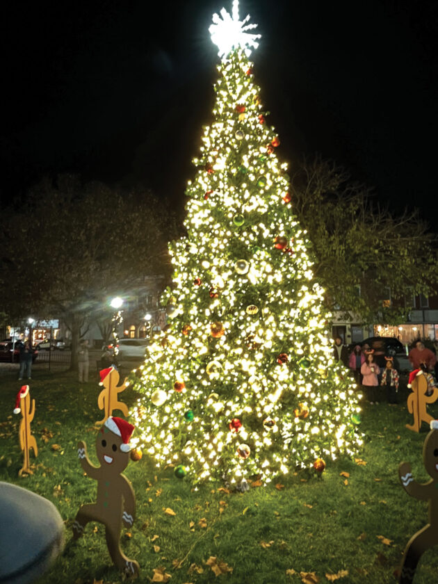 Merry-Etta's Tree Lighting