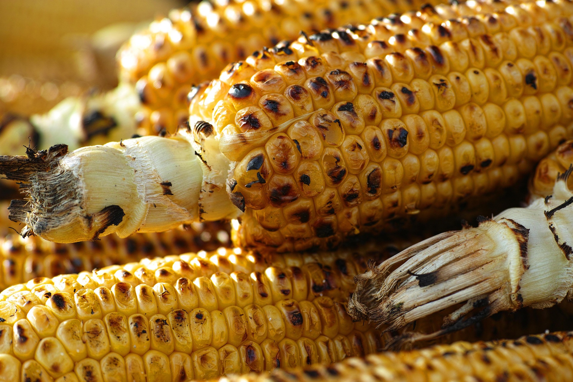B&W Sweetcorn Festival
