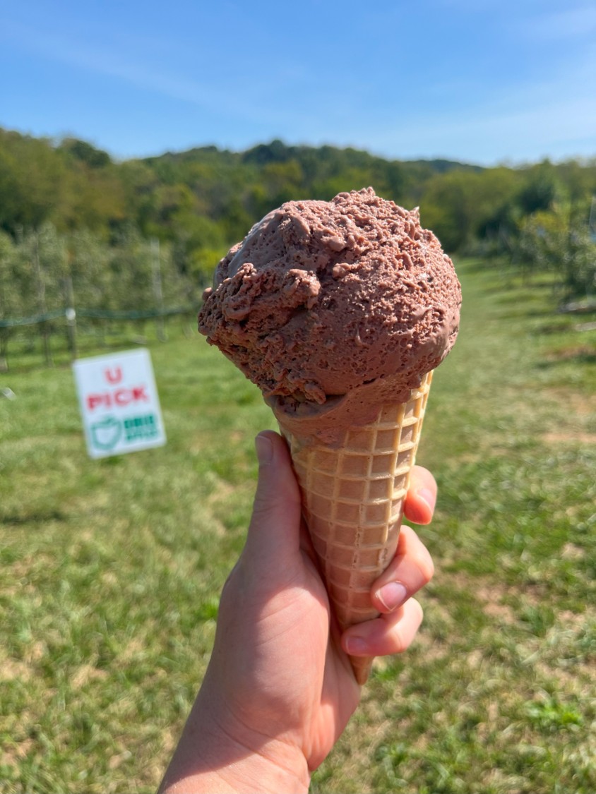 Apple Upick & Ice Cream at the Orchard