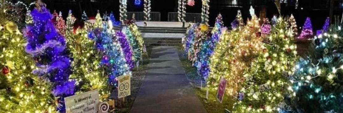 Opening Night: Holiday Tree Walk