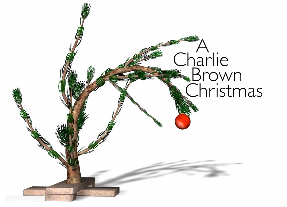 Charlie Brown Christmas