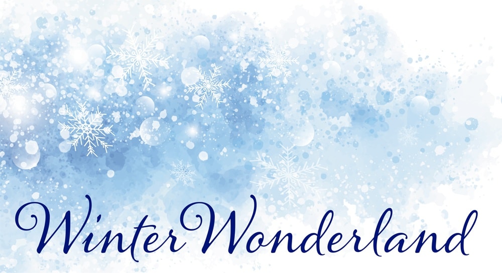 Winter Wonderland Dinner Cruise