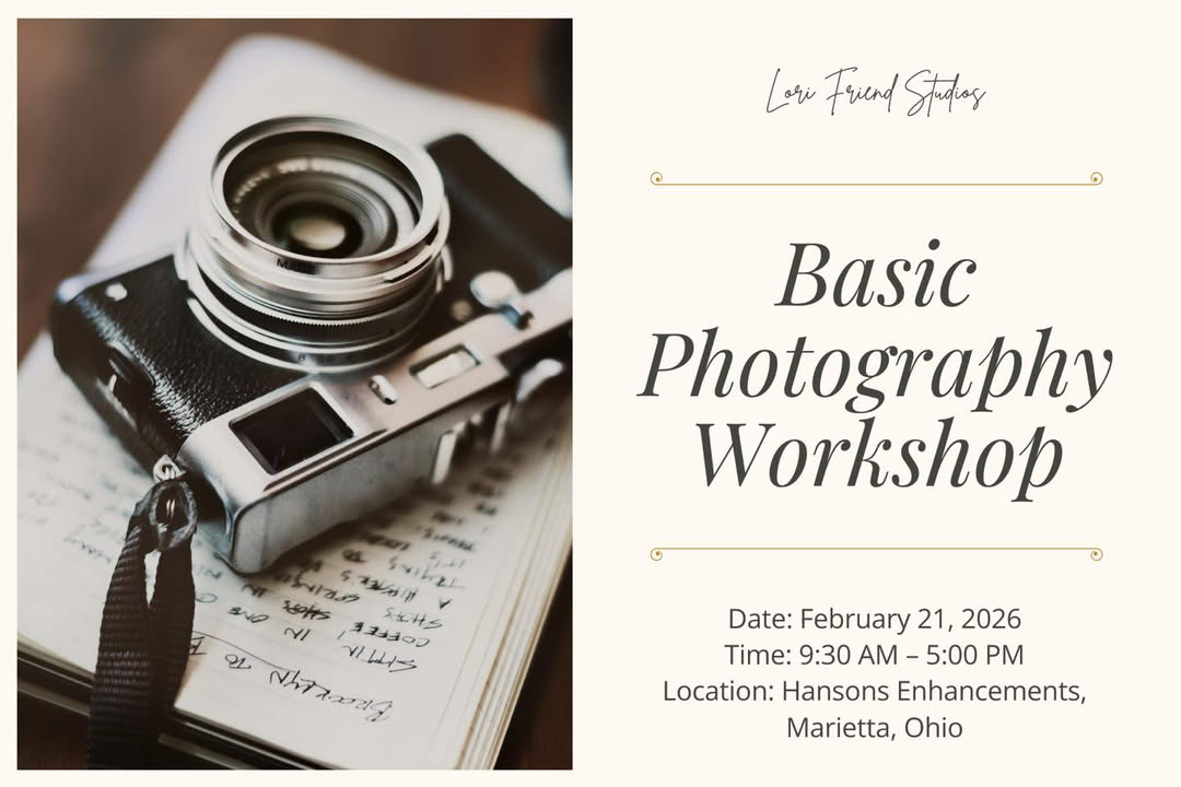 Beginner Photography Workshop