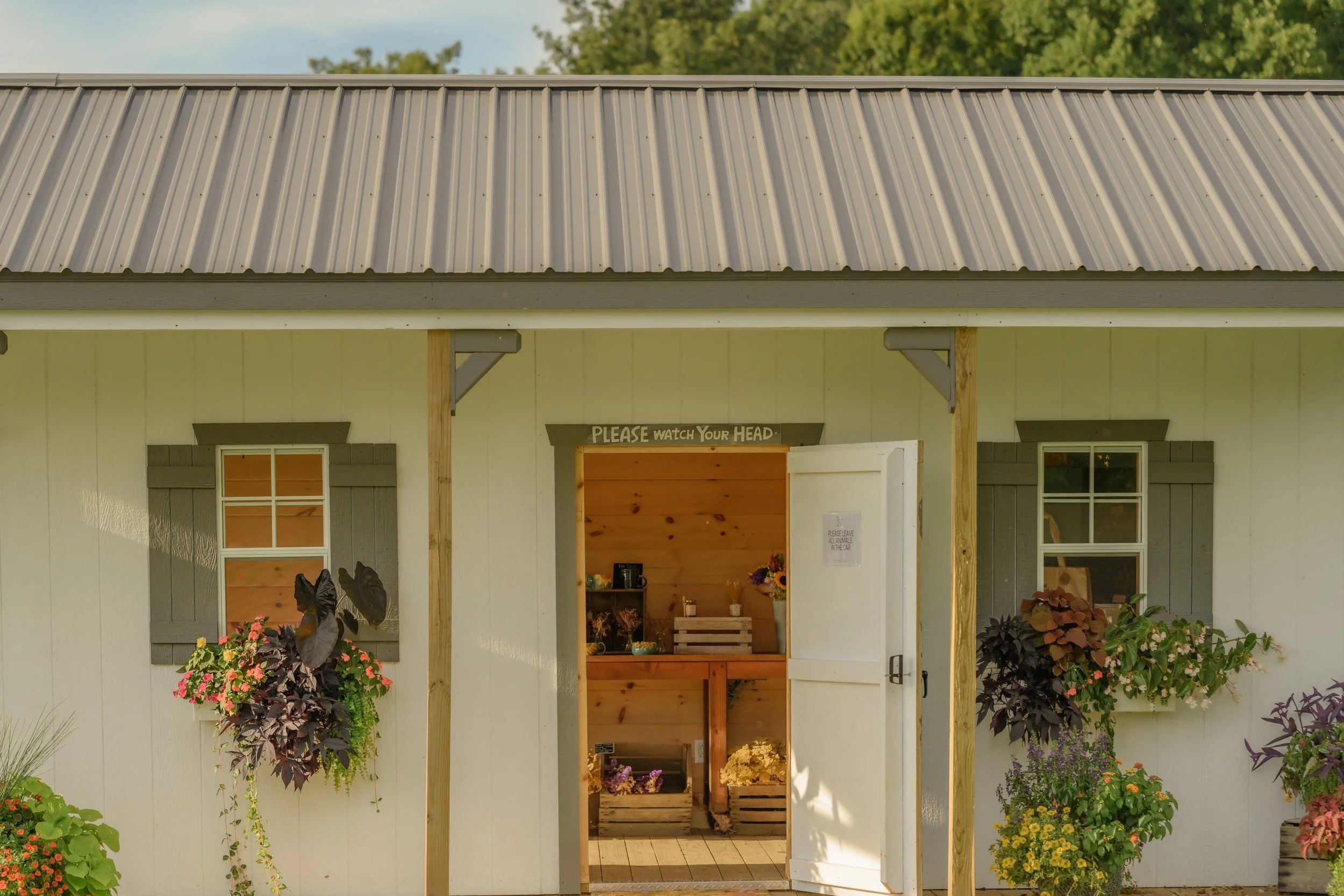 Wildroot Flower Co's Mother's Day Spring Market