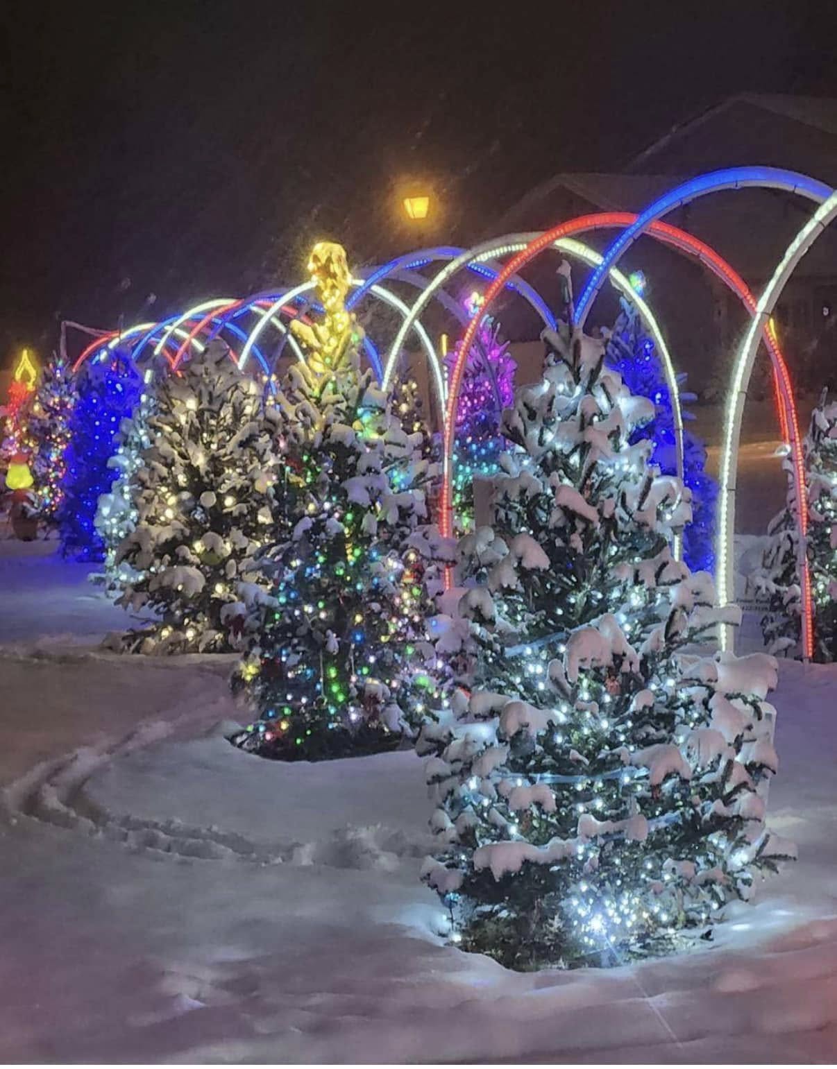 Belpre Holiday Lights