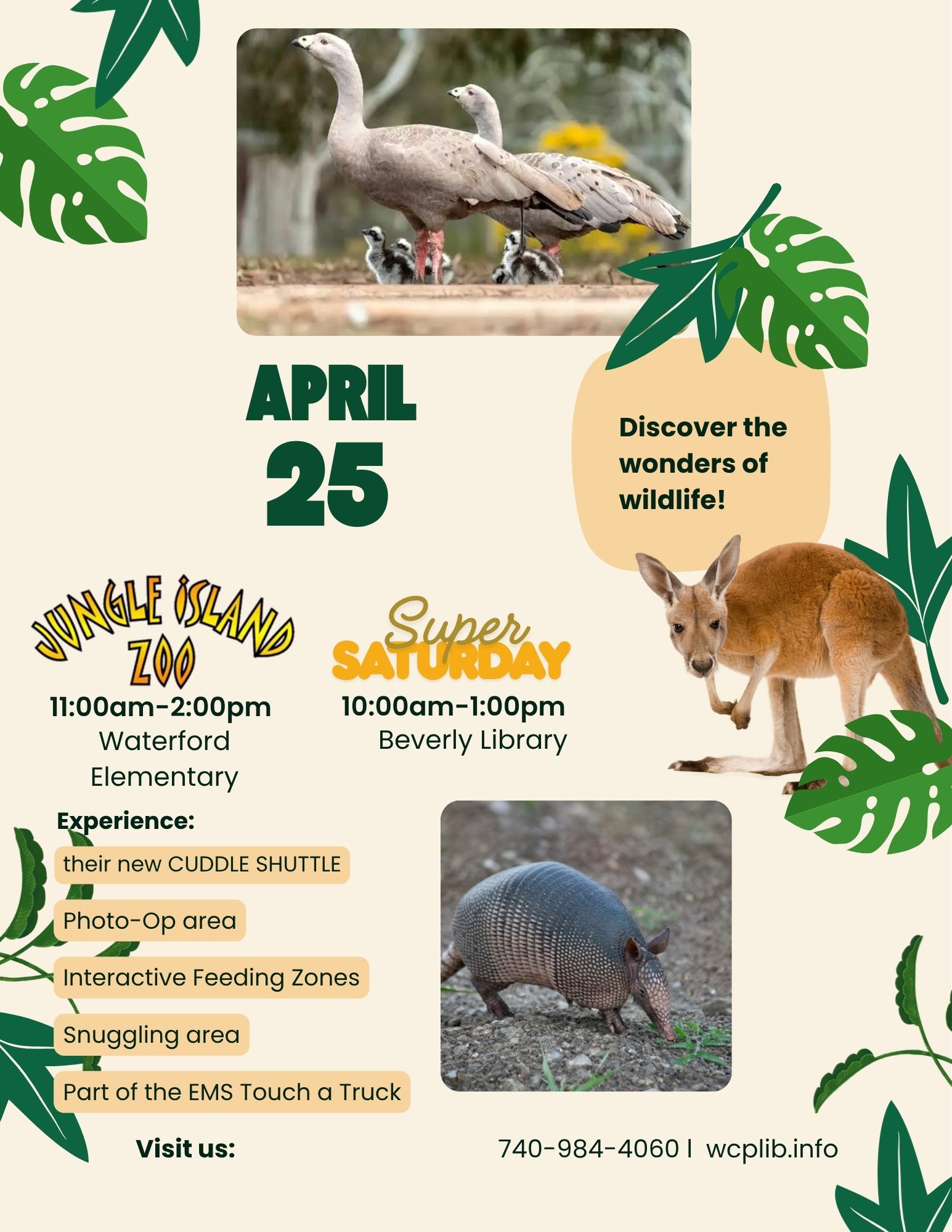 Super Saturday - Petting Zoo