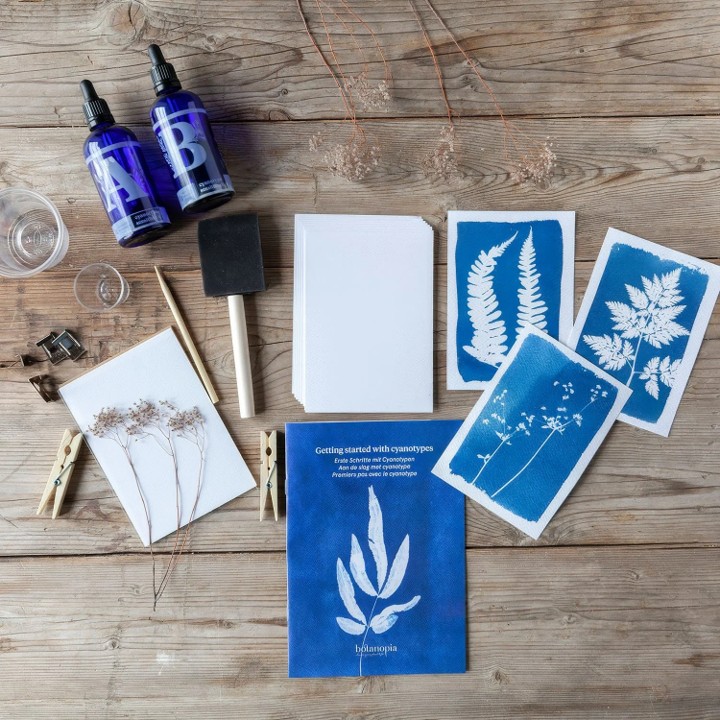 Wildroot Bontanical Blueprints - A Cyanotype Workshop